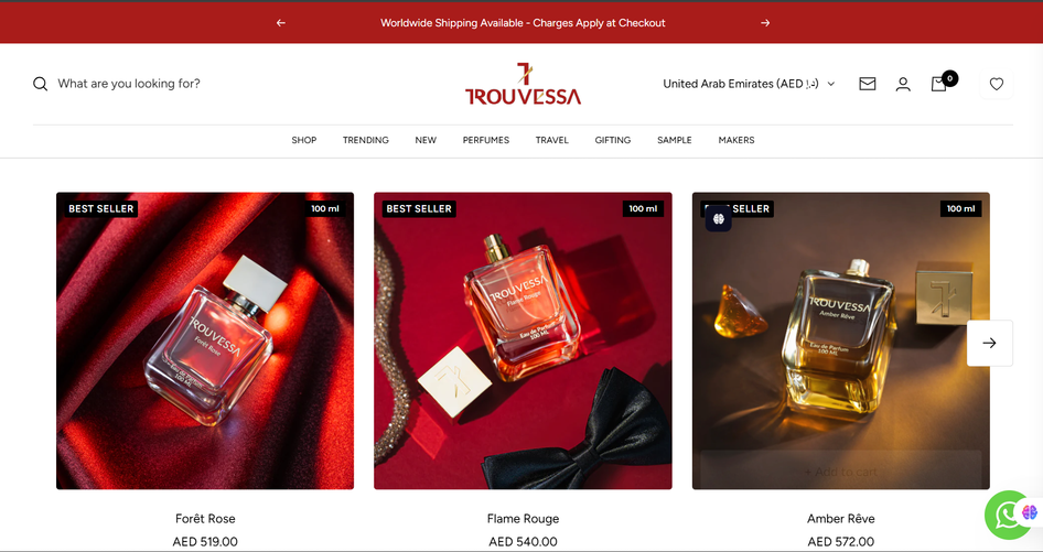 Website Desktop Showcase 2