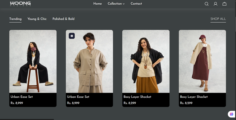 Website showcase 5
