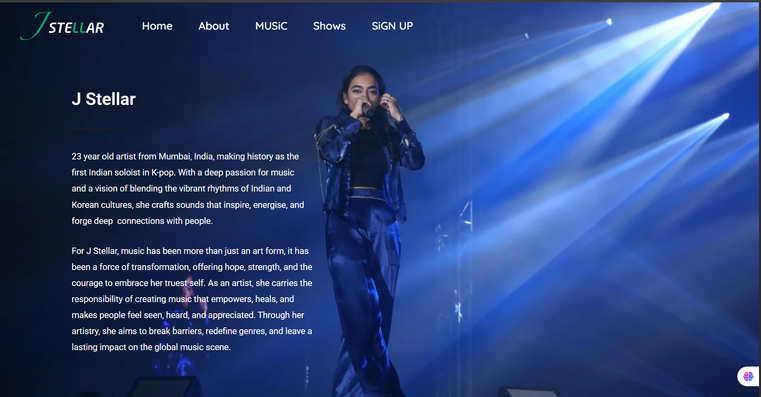 Website showcase 6